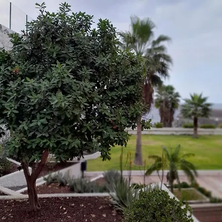 Monis Rooms,apartment Holidays Green Tenerife Playa San Marcos アパート